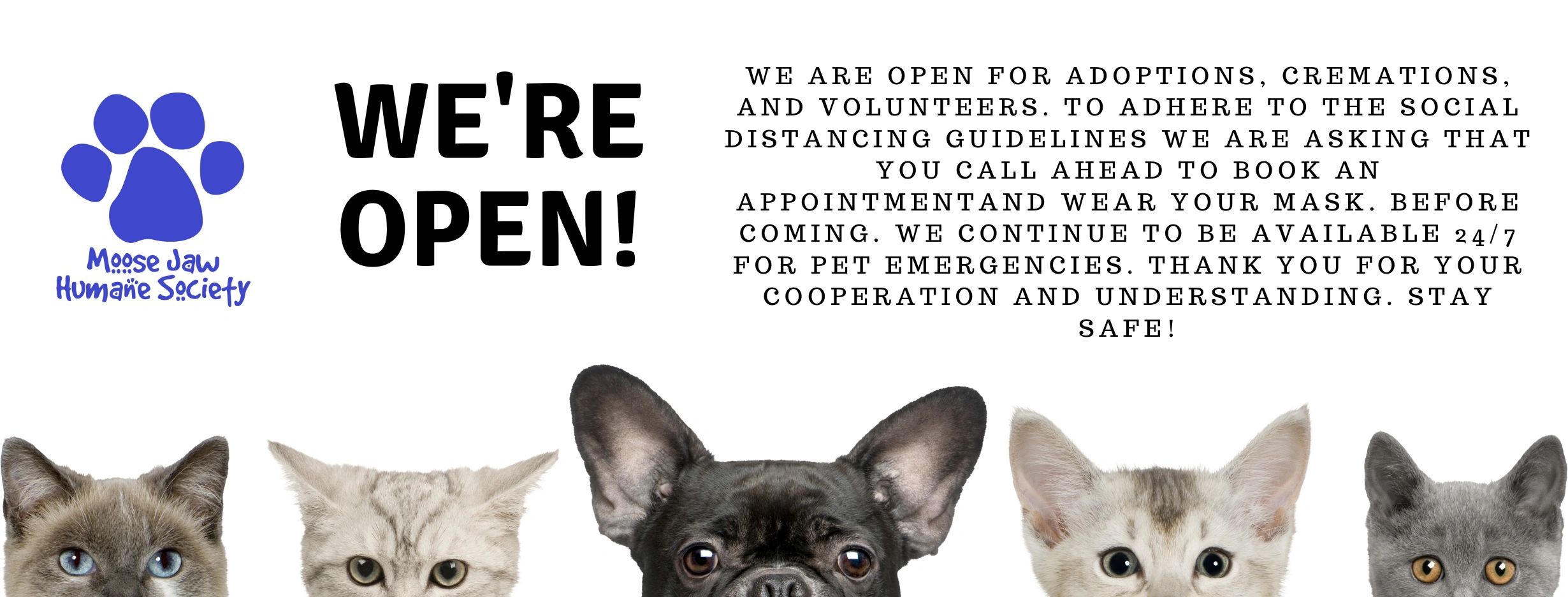 moose-jaw-humane-society-animal-shelter-pets-humane-society